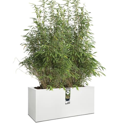 VASO PLASTICO VIVO NEXT LONG 40x80cm BR