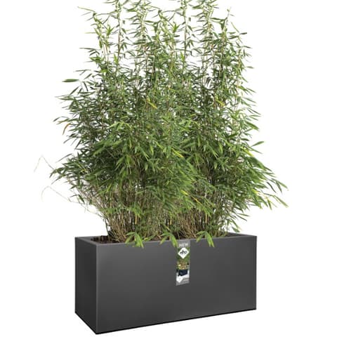 VASO PLASTICO VIVO NEXT LONG 40X80cm PR