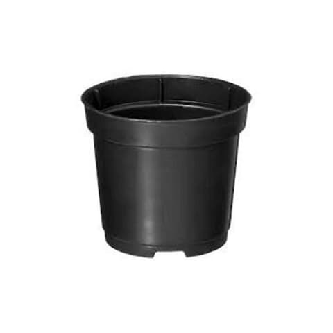 VASO ESTUFA ALTO CITRINOS PRETO 8LTS