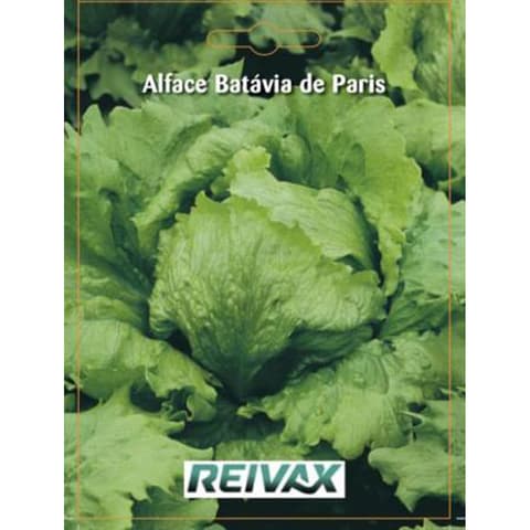 SEMENTE ALFACE BATAVIA PARIS 003/017