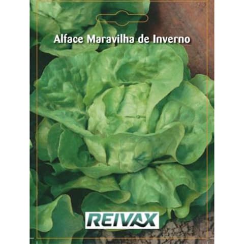 SEMENTE ALFACE MARAVILHA INVERNO 002