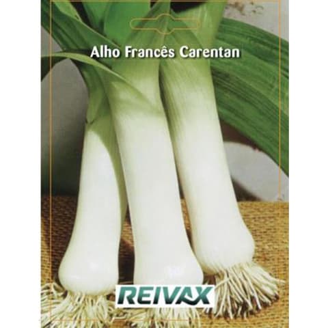 SEMENTE ALHO FRANÇES CARENTAN 006/022