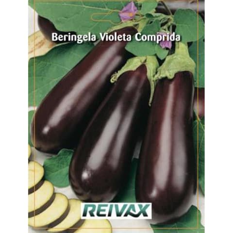 SEMENTE BERINGELA VIOLETA COMPRIDA 042