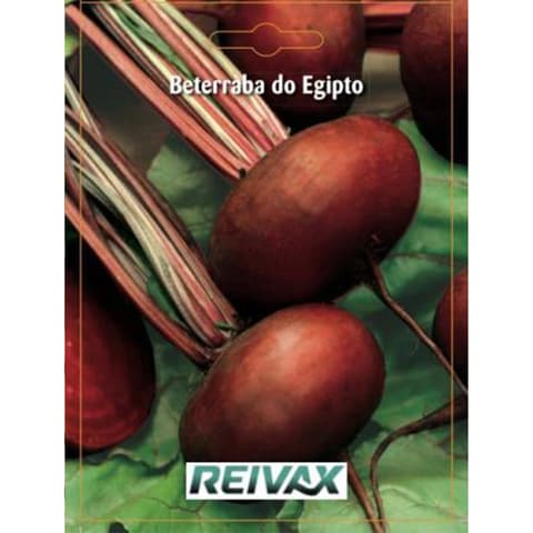 SEMENTE BETERRABA DO EGITO 041