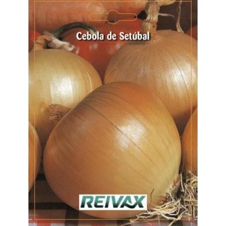 SEMENTE CEBOLA DE SETUBAL 043