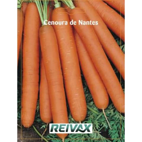 SEMENTE CENOURA DE NANTES 010