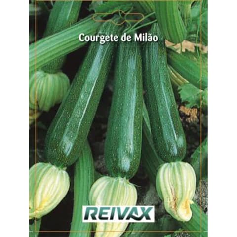 SEMENTE COURGETE BLACK BEAUTY 012/042