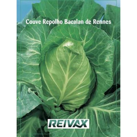 SEMENTE COUVE REPOLHO BACALAN 016 /054