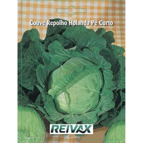 SEMENTE COUVE REPOLHO HOLANDA PE CURTO 017