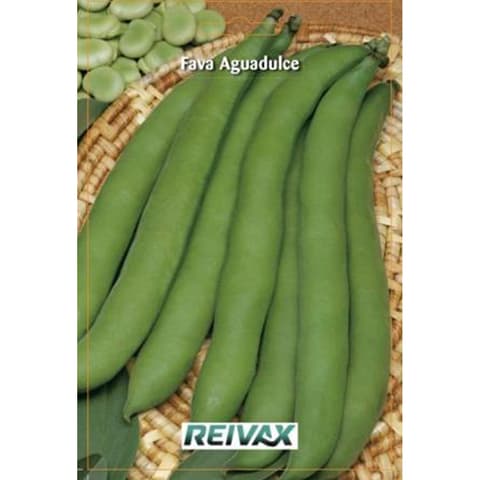 SEMENTE FAVA AGUADULCE 206