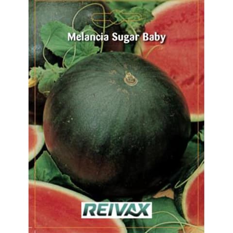SEMENTE MELANCIA SUGAR BABY 027