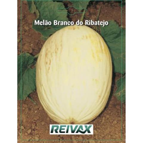 SEMENTE MELAO BRANCO RIBATEJO 045