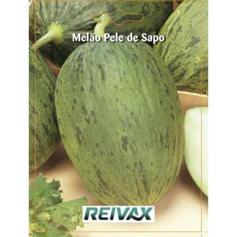 SEMENTE MELAO PELE DE SAPO 028