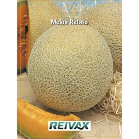 SEMENTE MELOA RETATO 029/080