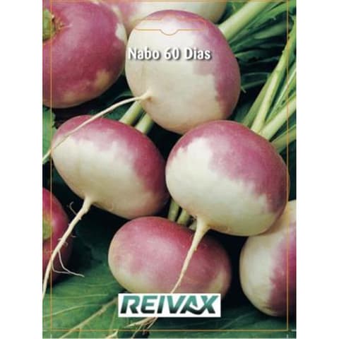 SEMENTE NABO 60 DIAS 033/083