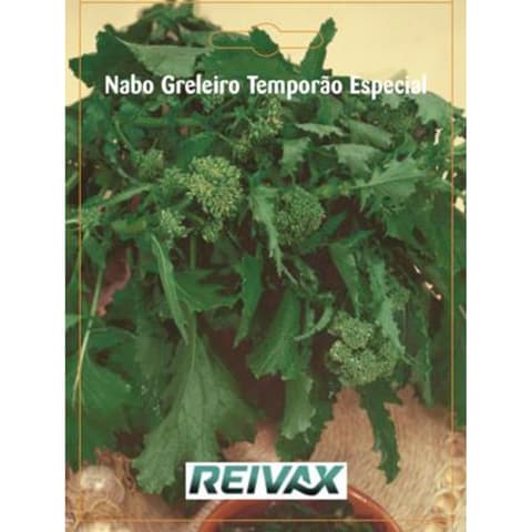 SEMENTE NABO GRELEIRO TEMPORAO ESPECIAL 035/093