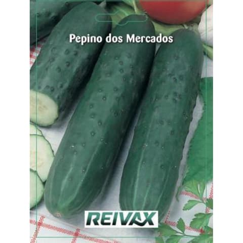 SEMENTE PEPINO DOS MERCADOS 036