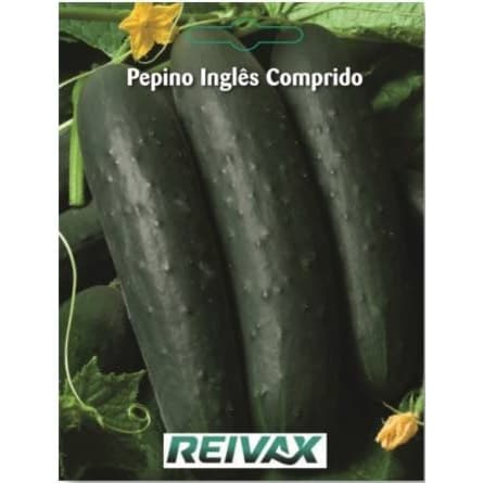 SEMENTE PEPINO INGLES COMPRIDO 049/098