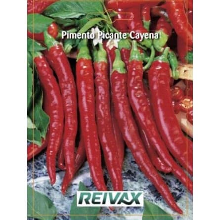 SEMENTE PIMENTO PICANTE CAYENA 051