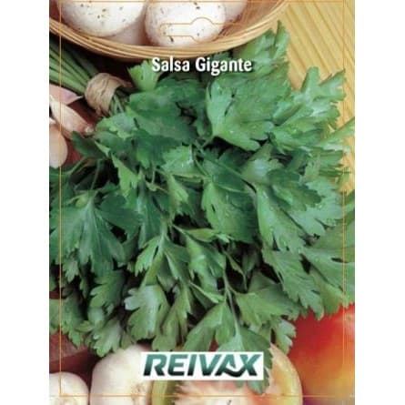 SEMENTE SALSA GIGANTE 055/109