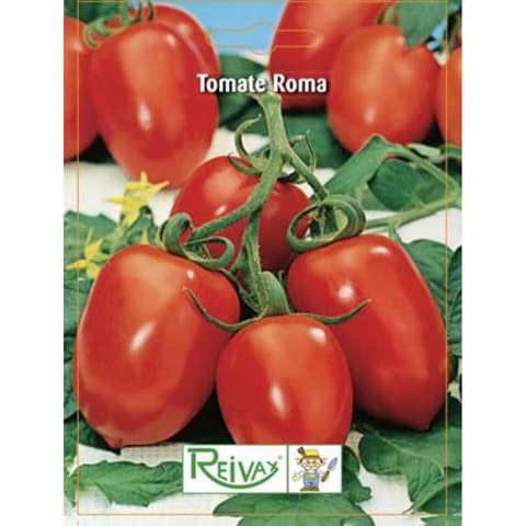 SEMENTE TOMATE ROMA  "CHUXA" 052