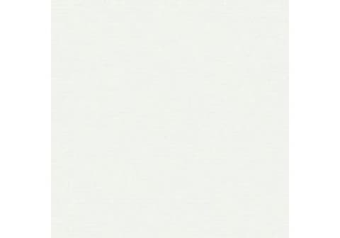 AZULEJO BRANCO MATE 20x20 351