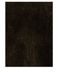AZULEJO HALLEY PRETO 33x45 595
