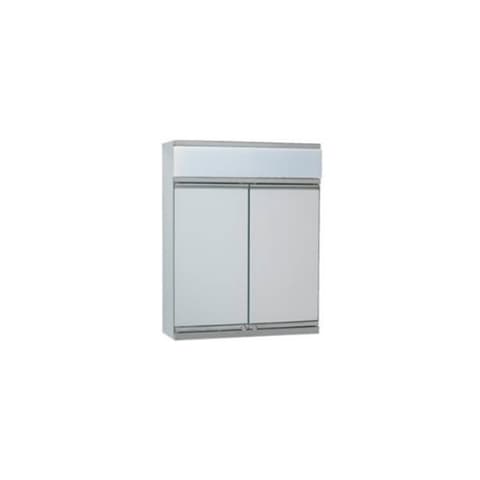 FARMACIA PINTADA 2-PORTAS