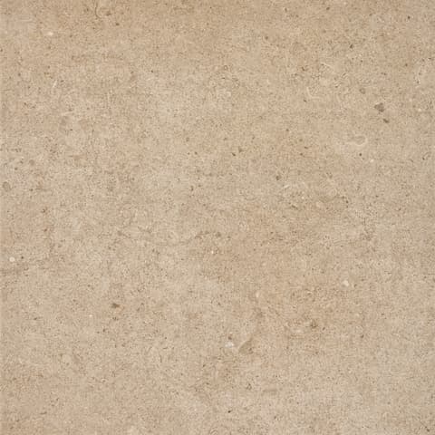 PAVIG MO ANTICA TAUPE 447x447 4705