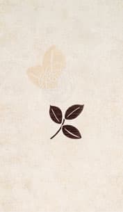 CEREV AZ FEEL MARFIM DECOR25X45 D44/446.1MFA ***