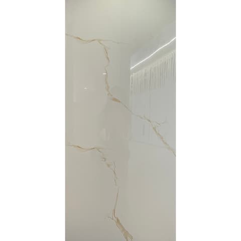 BRO MO STATURIO GOLD POLIDO 60x120