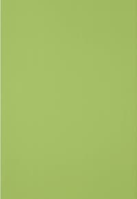 PRI AZ 20x30 ORGANZA VERDE