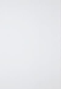 PRI AZ 20x30 ORGANZA BRANCO