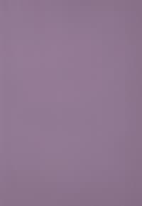 PRI AZ 20x30 ORGANZA VIOLETA