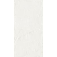 RV XISTO SUPERBRANCO RECTIF. 60x120